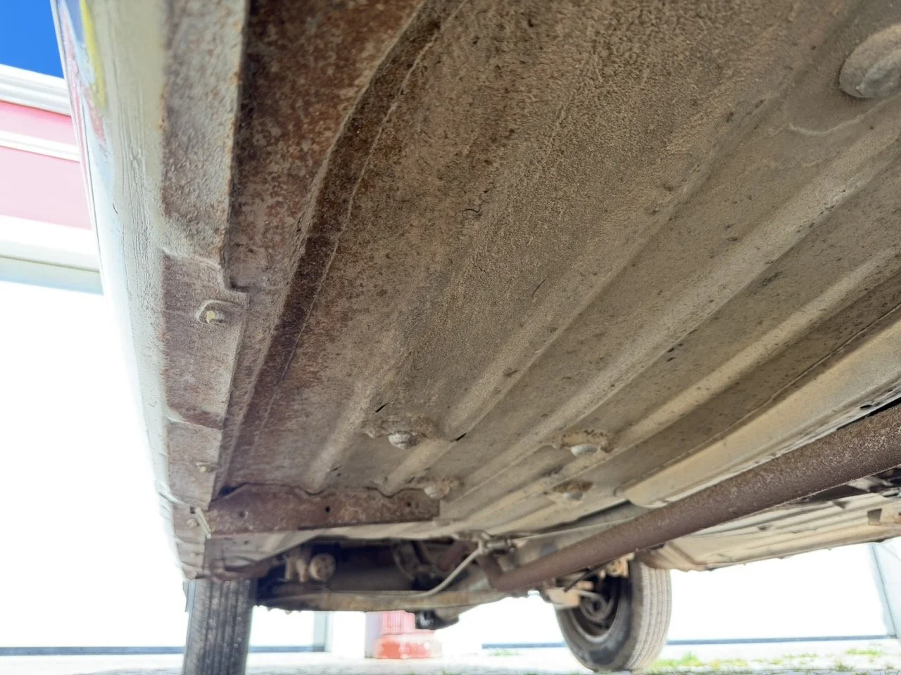 IMG_6765 – grande.jpeg