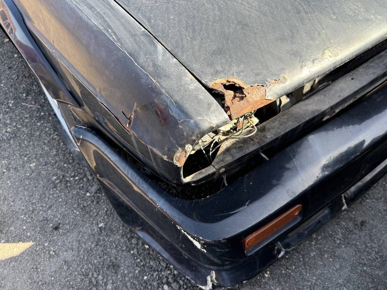 IMG_2922 – grande.jpeg