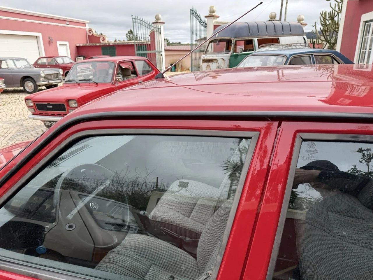 IMG_3526 – grande.jpeg