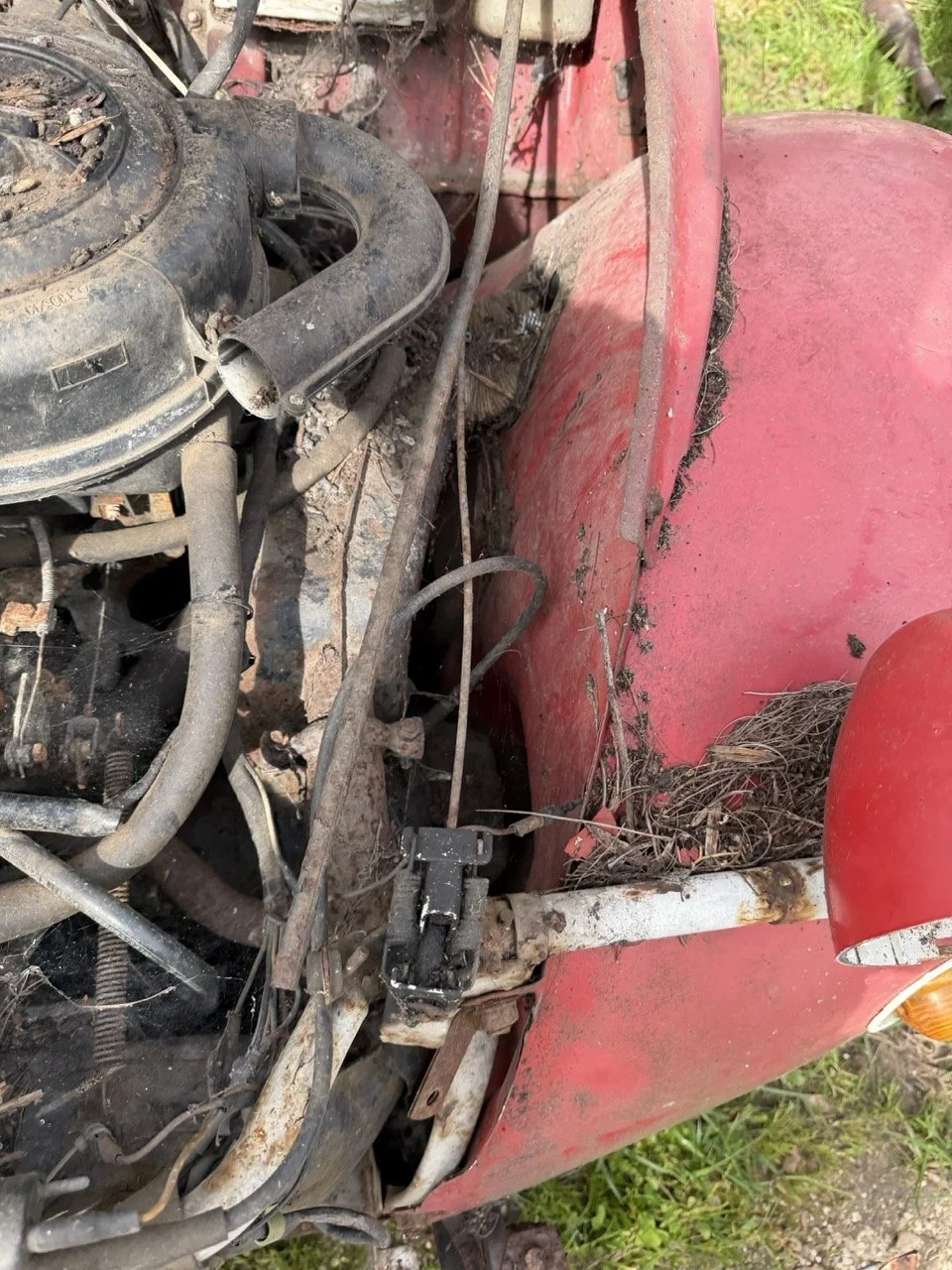 IMG_3869 – grande.jpeg