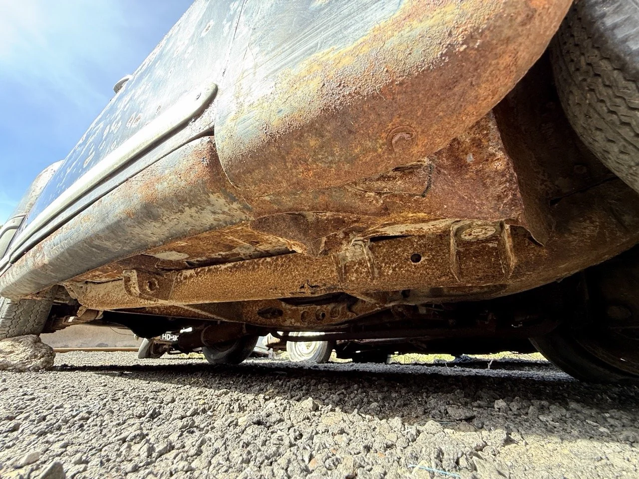 IMG_0445 – grande.jpeg