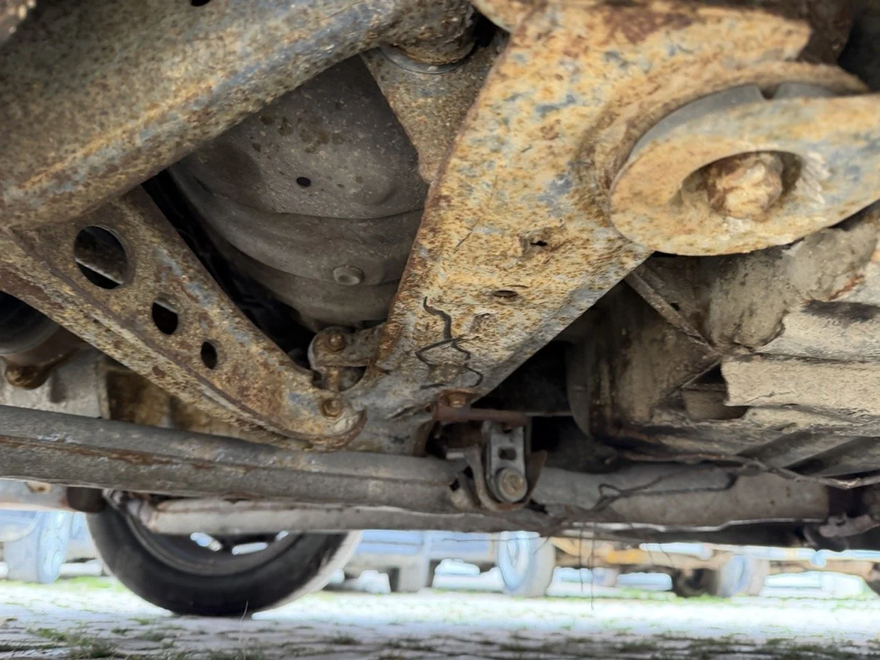 IMG_9809 – grande.jpeg