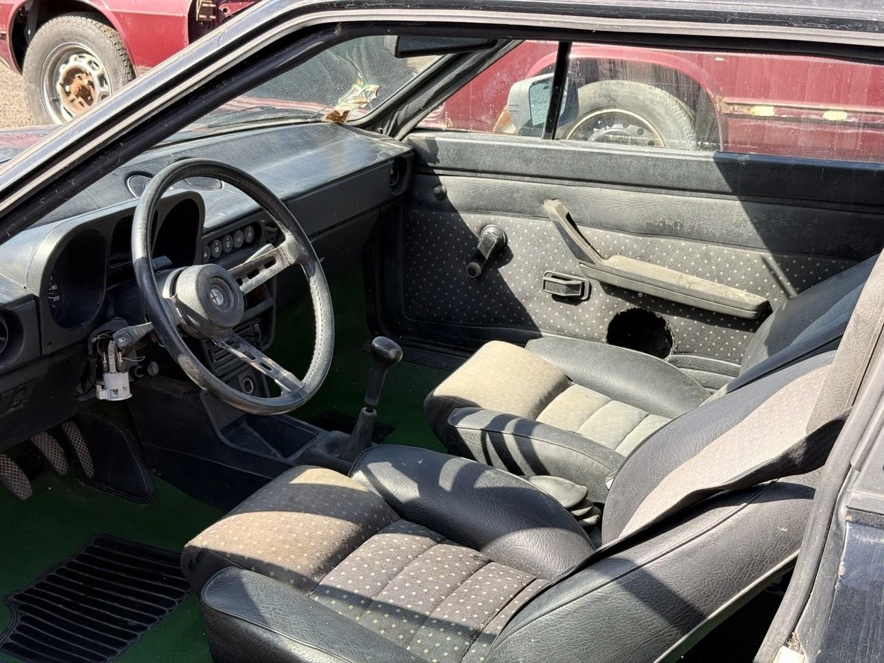 IMG_2896 – grande.jpeg