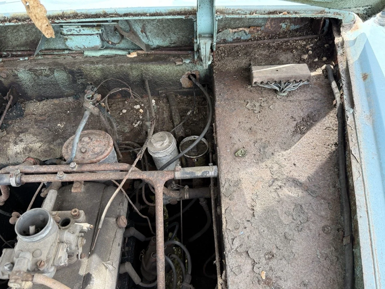 IMG_1438 – grande.jpeg