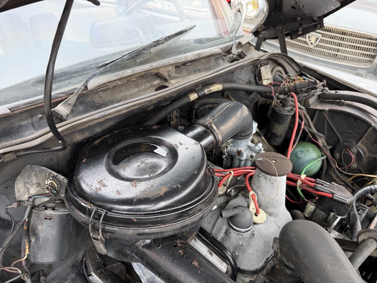 IMG_3737 – grande.jpeg