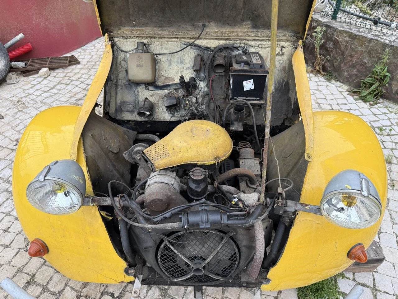 IMG_3828 – grande.jpeg