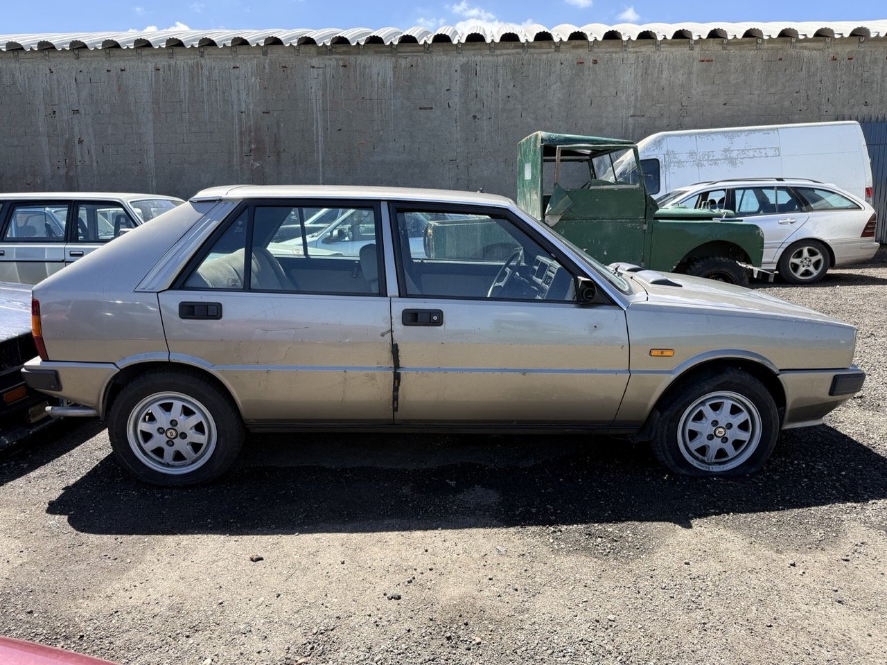 IMG_1877 – grande.jpeg