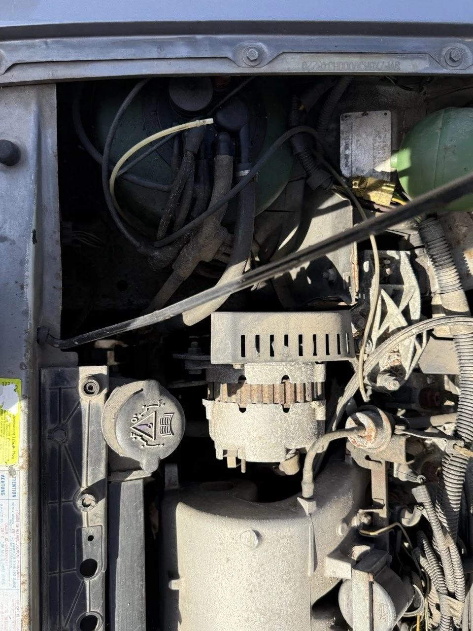 IMG_2556 – grande.jpeg