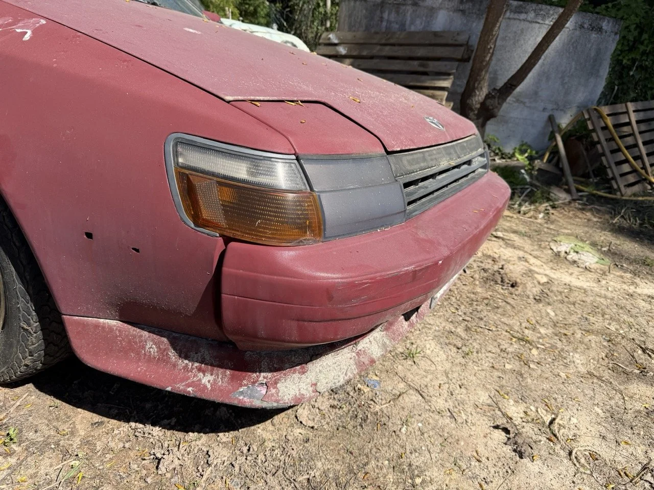 IMG_7627 – grande.jpeg