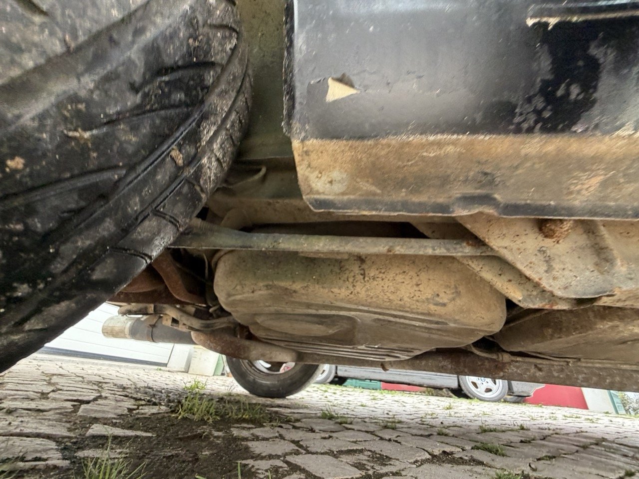 IMG_1326 – grande.jpeg