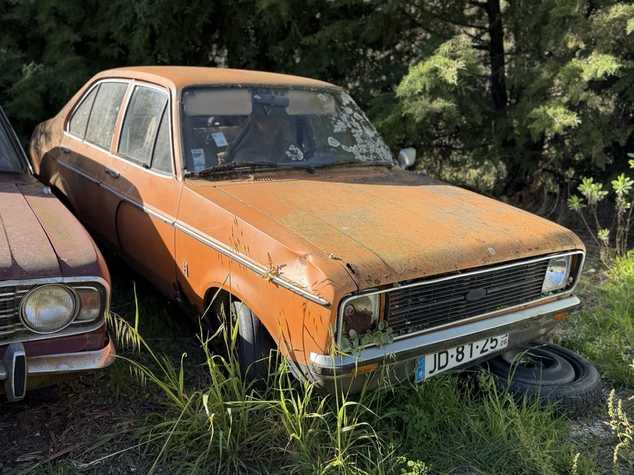 IMG_7689 – grande.jpeg