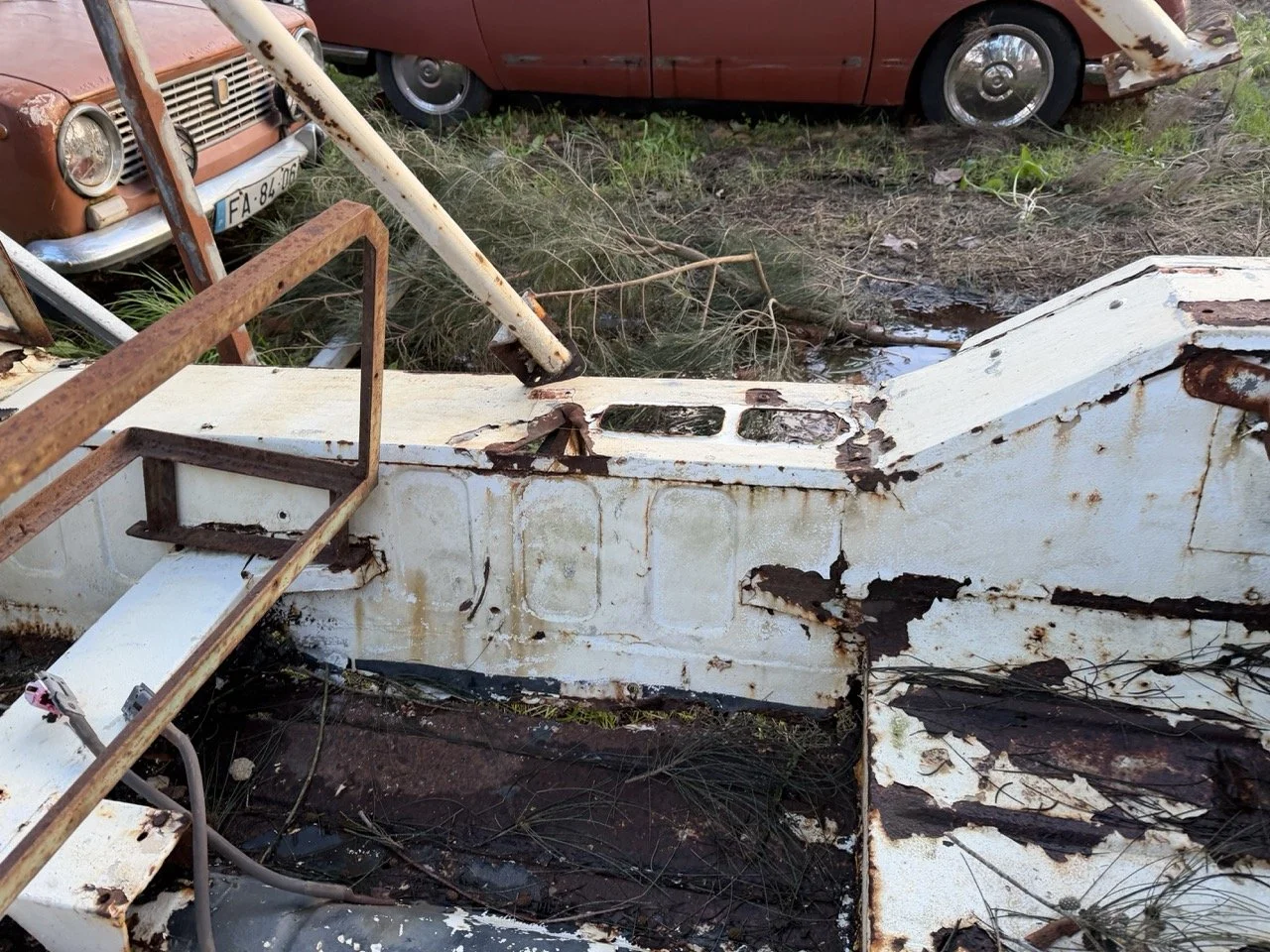 IMG_0895 – grande.jpeg