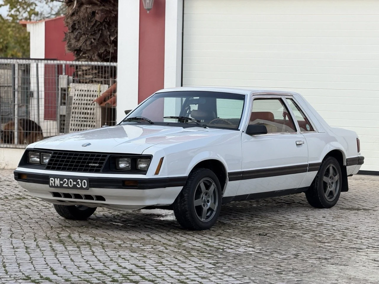 IMG_4142 – grande.jpeg