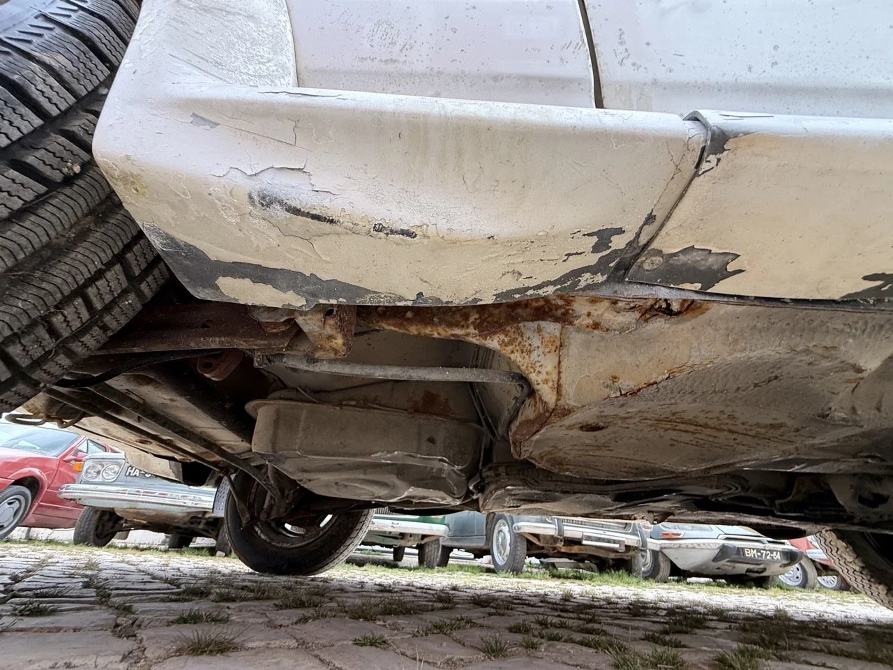 IMG_8638 – grande.jpeg