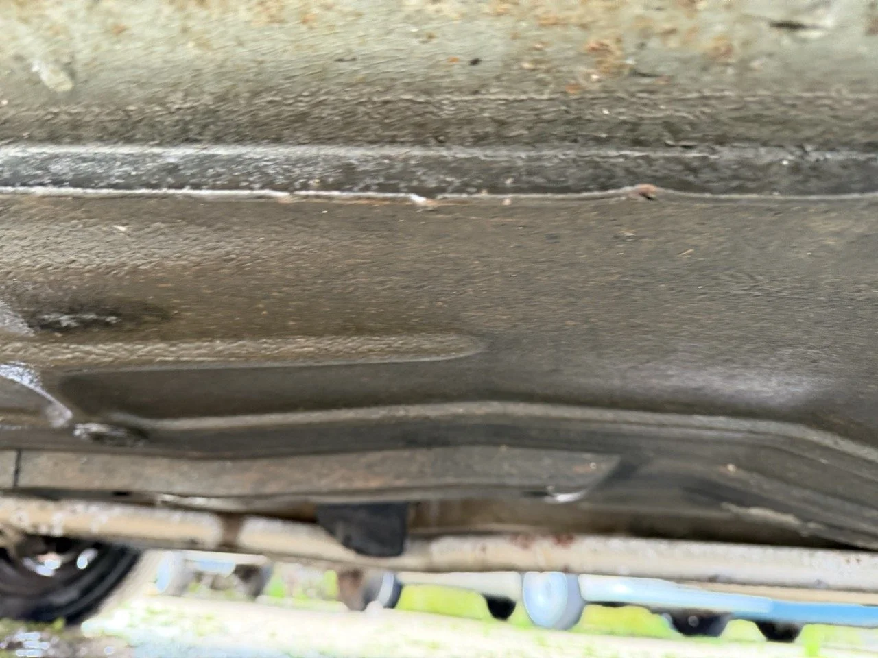 IMG_0648 – grande.jpeg