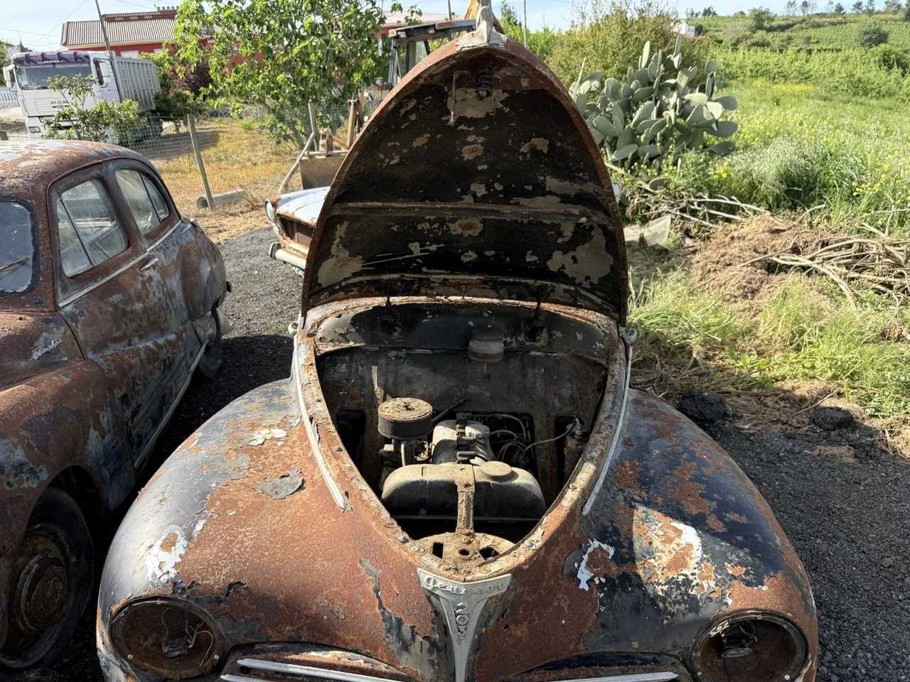 IMG_0411 – grande.jpeg