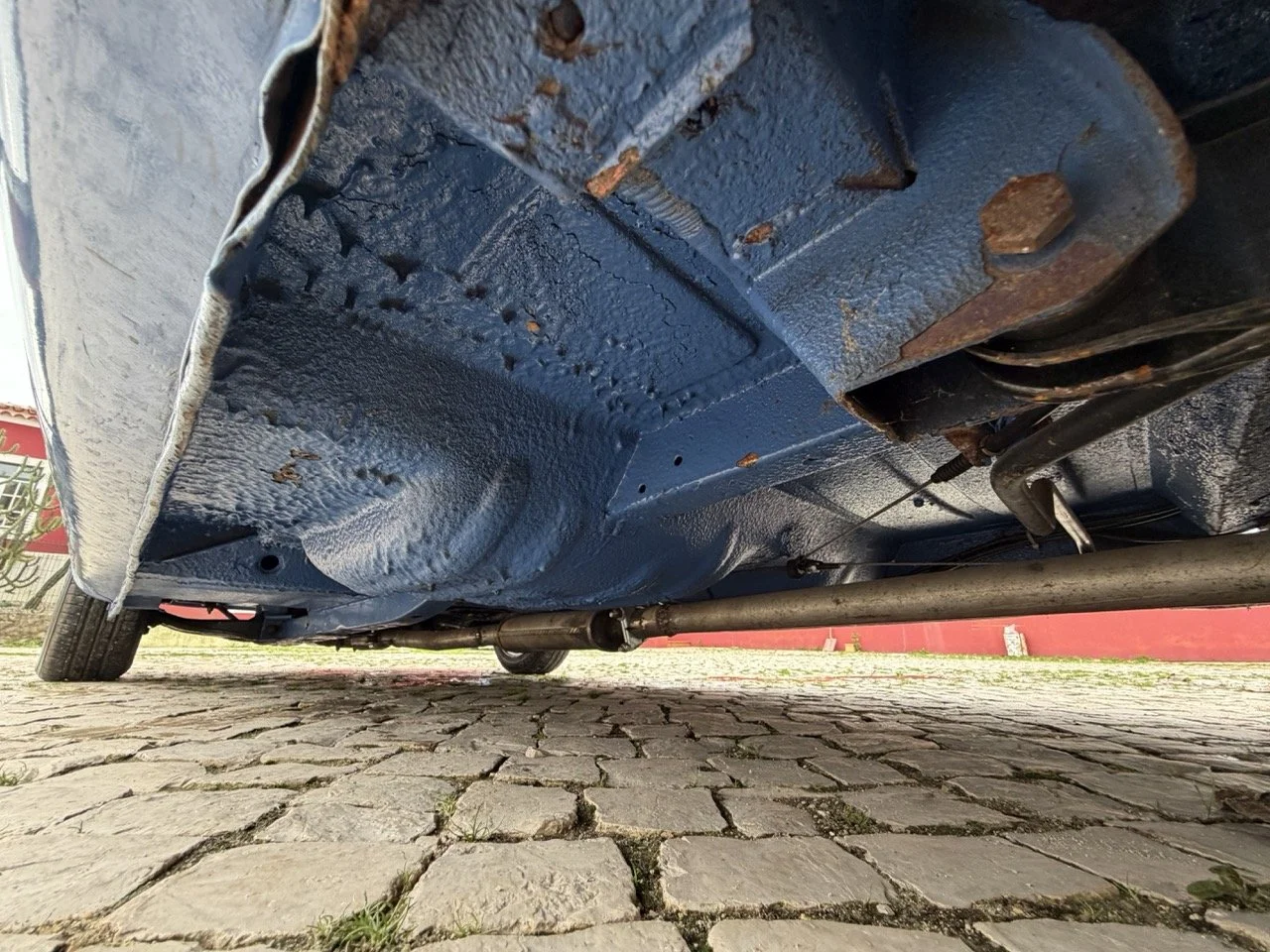 IMG_6115 – grande.jpeg