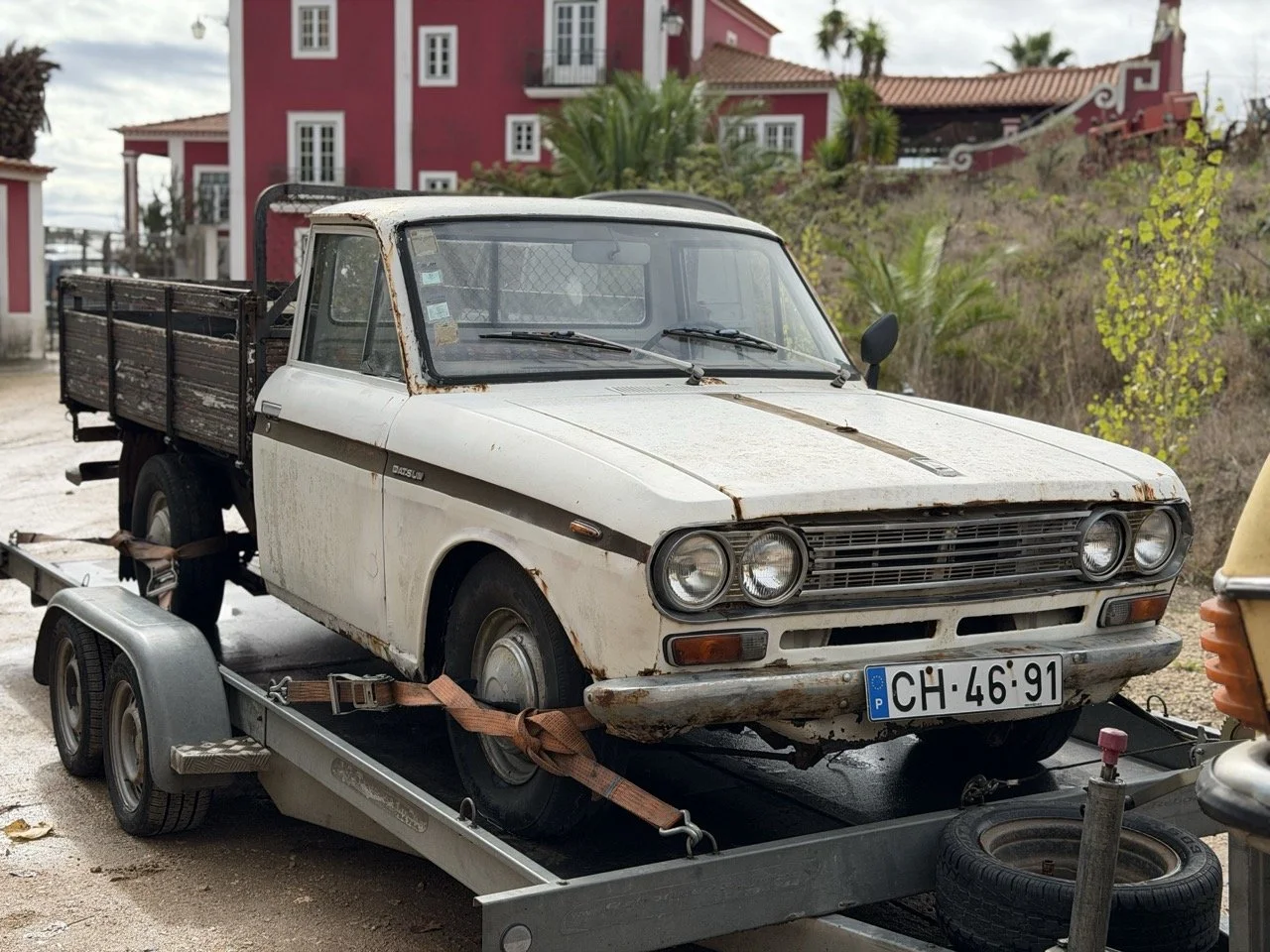 IMG_1888 – grande.jpeg