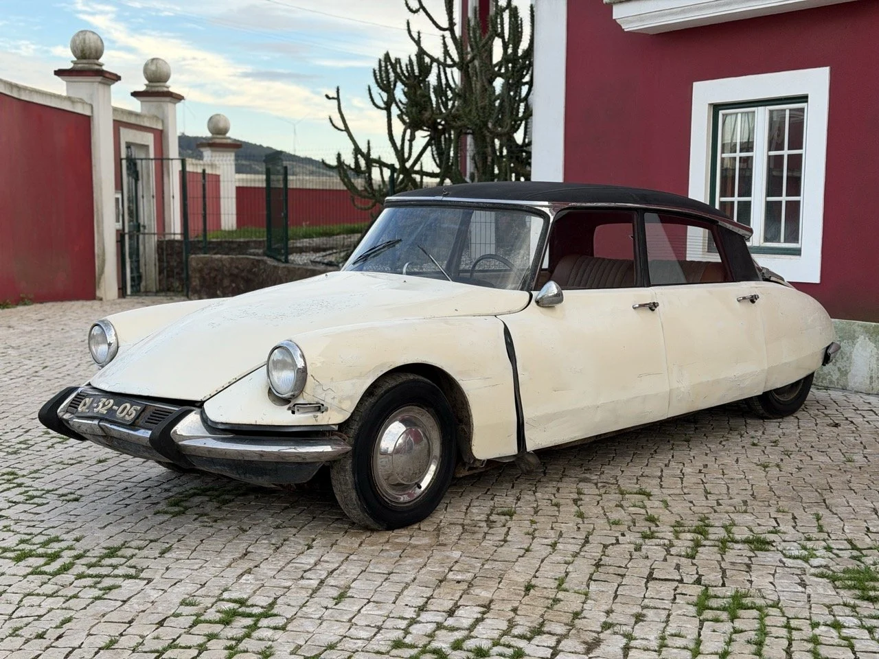 IMG_5926 2 – grande.jpeg