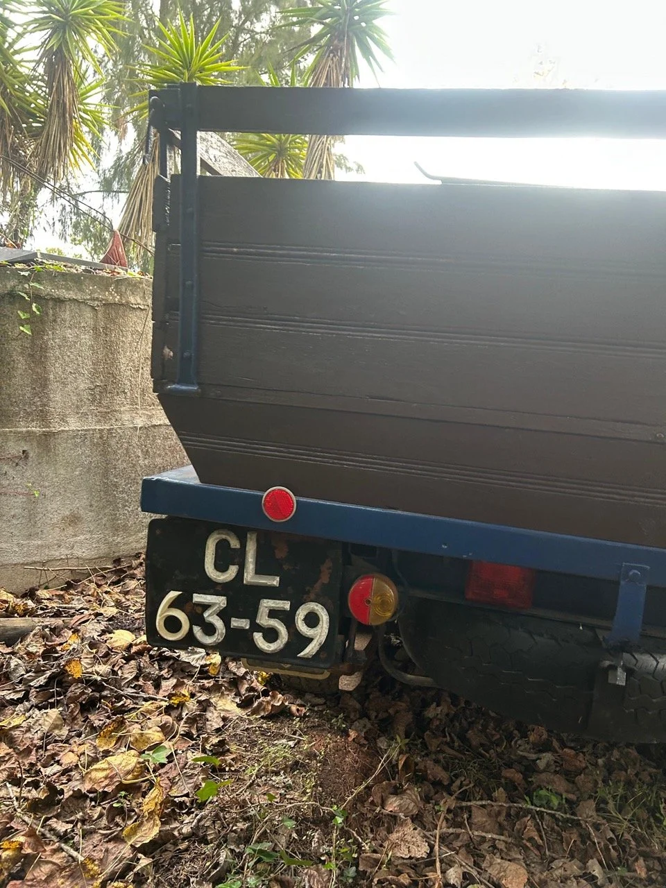 7ec5292d-e427-4951-940f-08511eca2970 – grande.jpeg