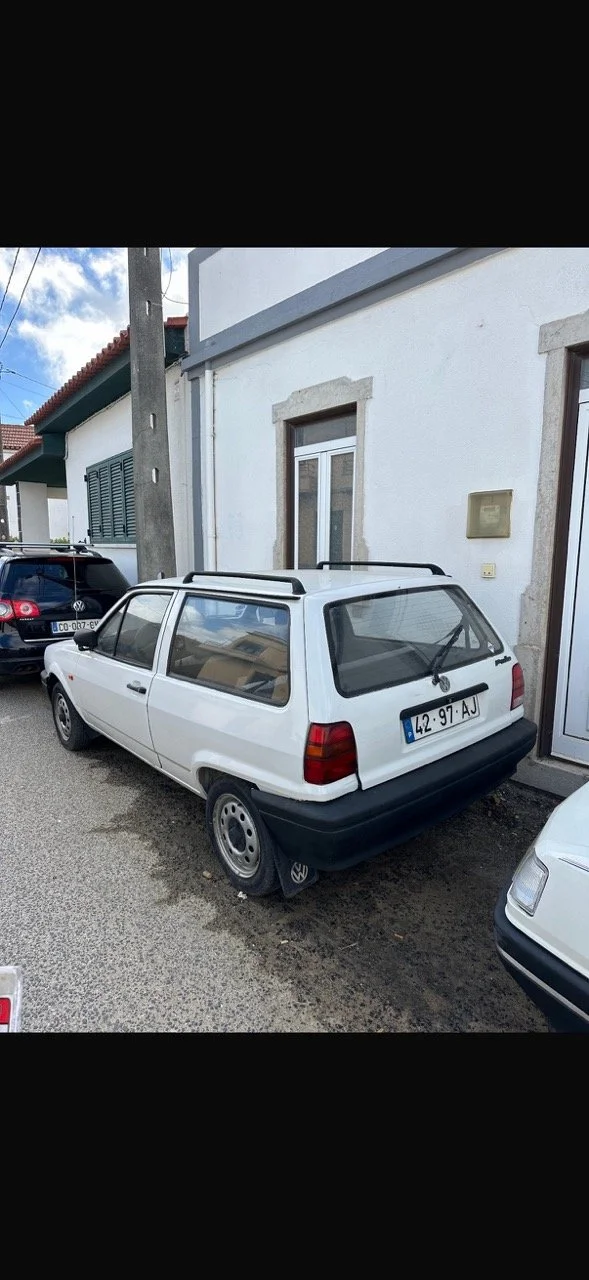 IMG_5280 – grande.jpeg