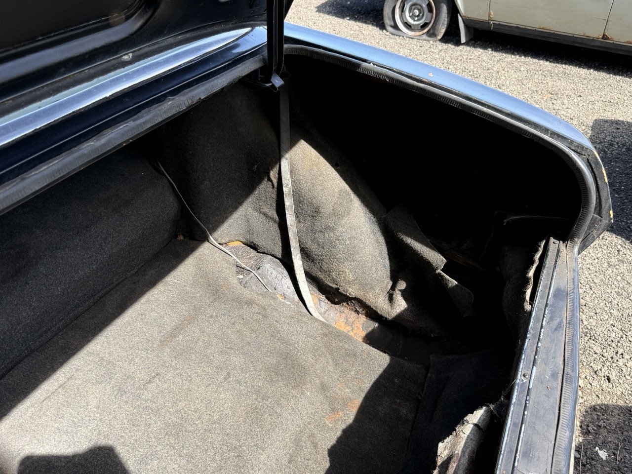 IMG_0593 – grande.jpeg