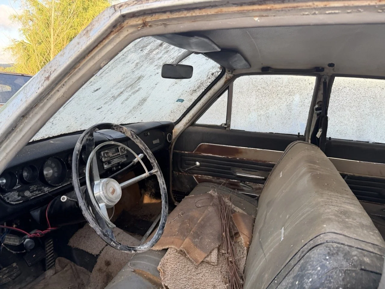 IMG_4081 – grande.jpeg