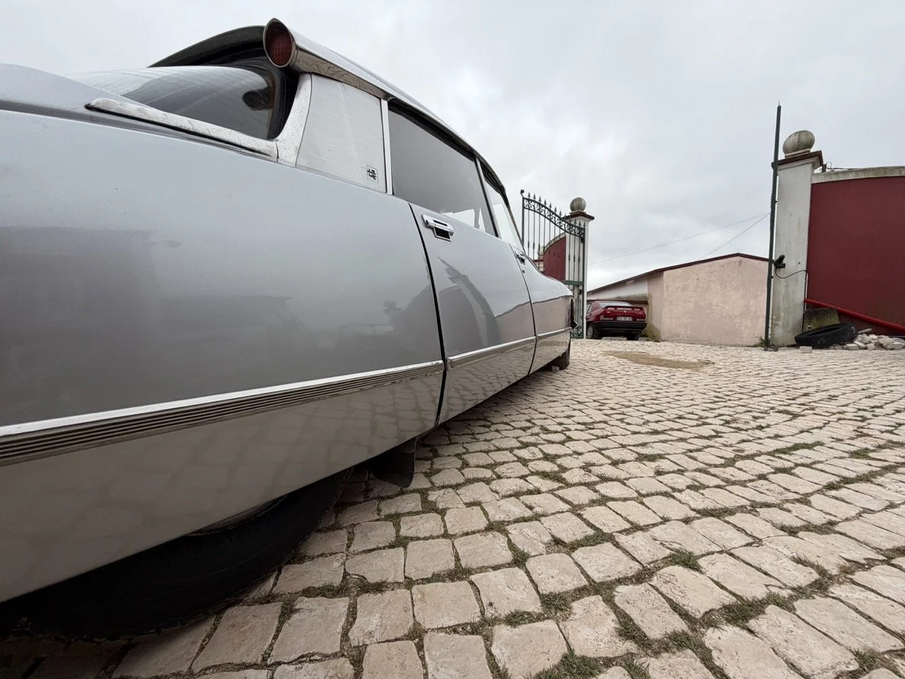 IMG_3783 – grande.jpeg