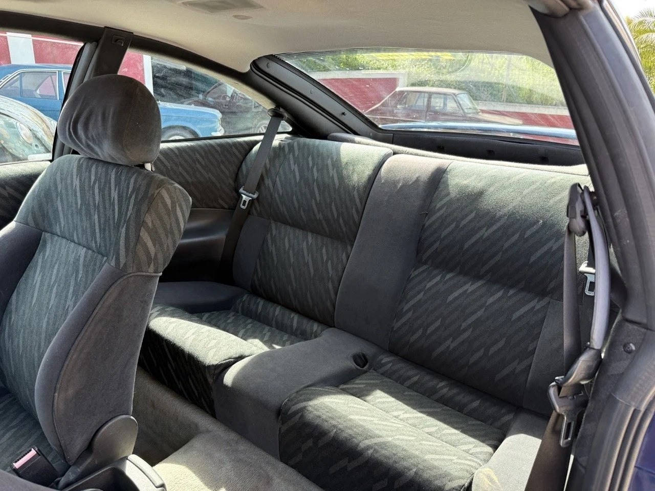 IMG_2399 – grande.jpeg