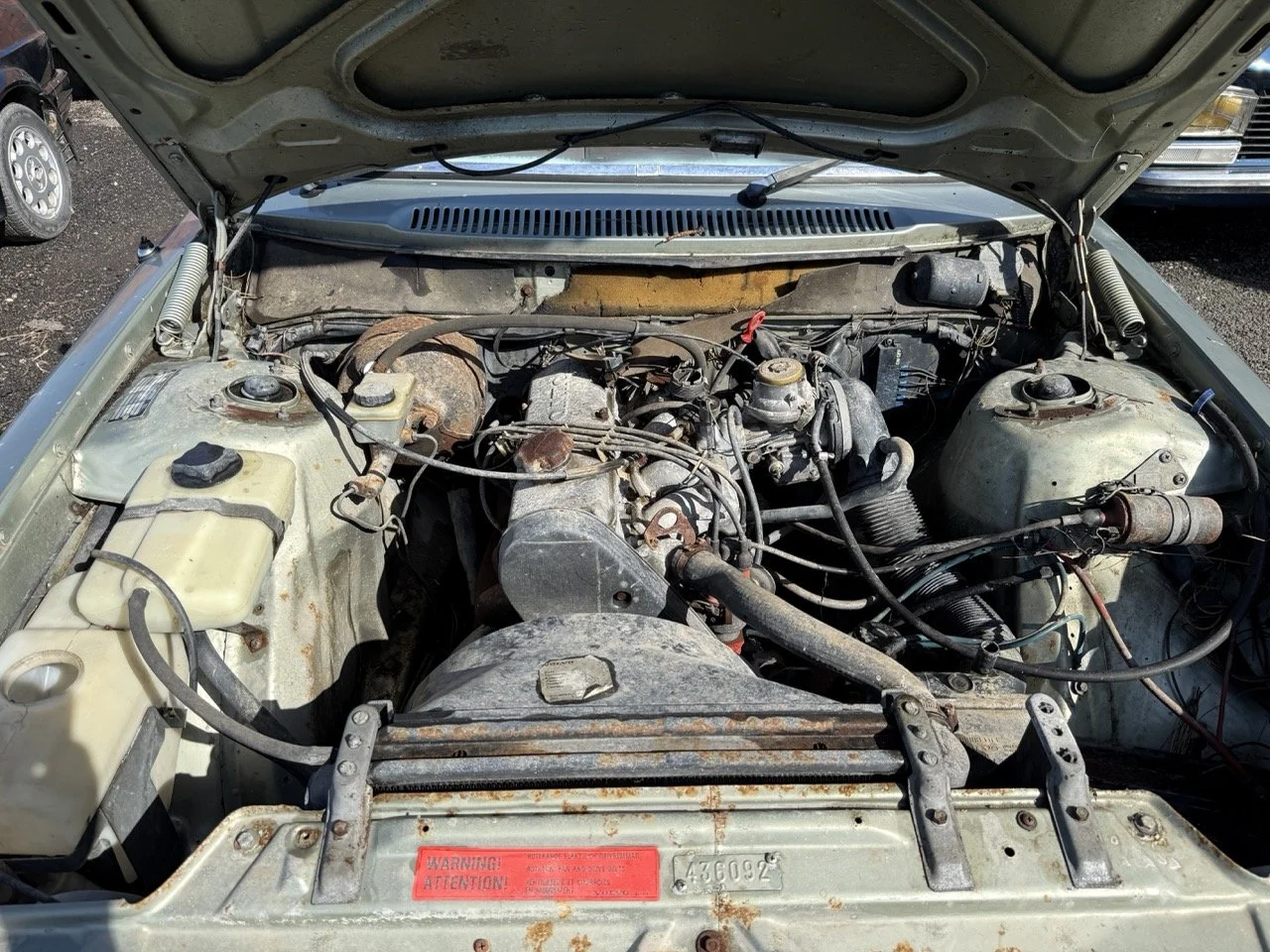 IMG_1160 – grande.jpeg