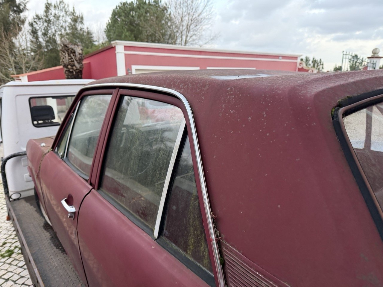 IMG_8998 – grande.jpeg