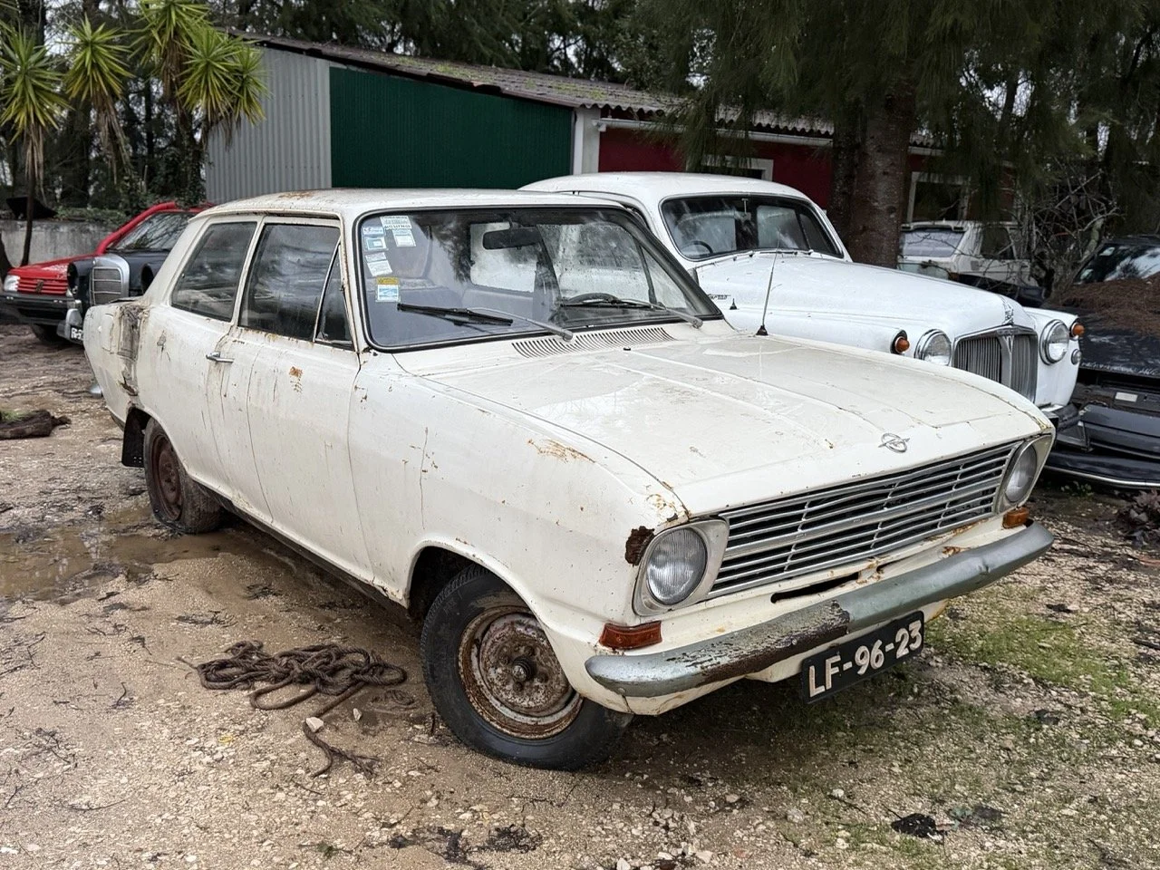 IMG_0110 – grande.jpeg