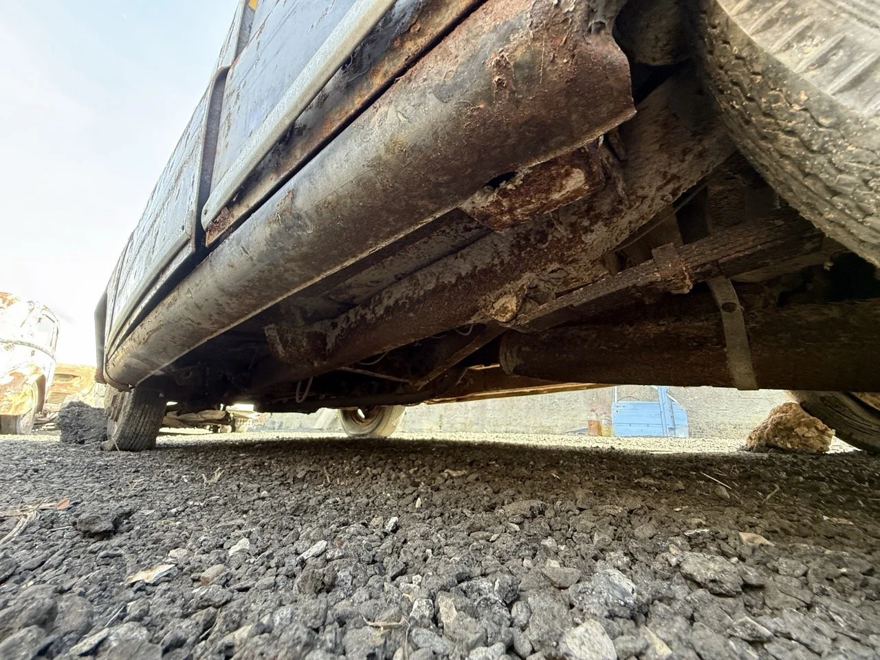 IMG_0450 – grande.jpeg