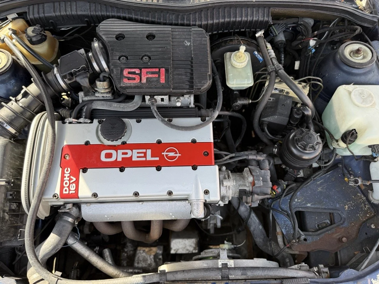 IMG_2414 – grande.jpeg