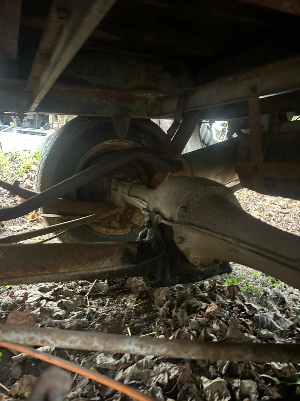 840ed52c-f2bb-4cb3-947f-472c8c2853b3 – grande.jpeg