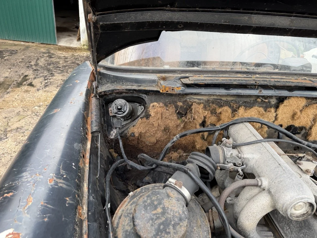 IMG_1949 – grande.jpeg