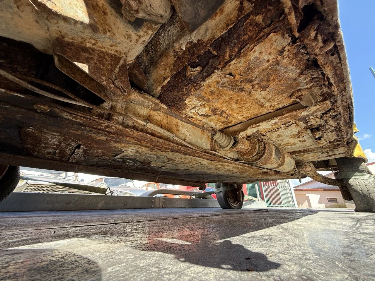 IMG_9126 – grande.jpeg