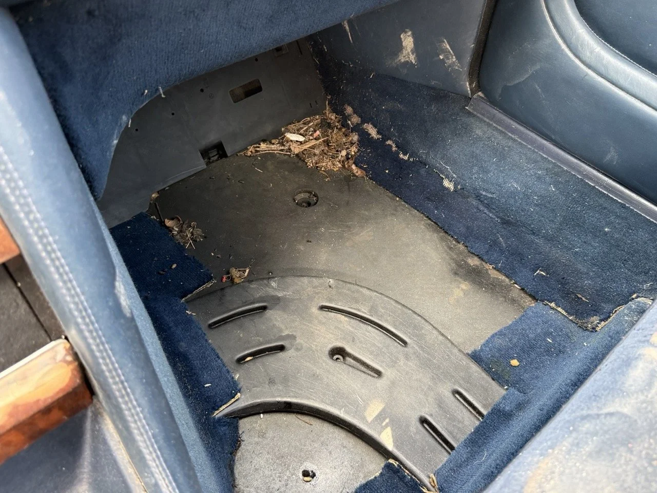 IMG_3427 – grande.jpeg