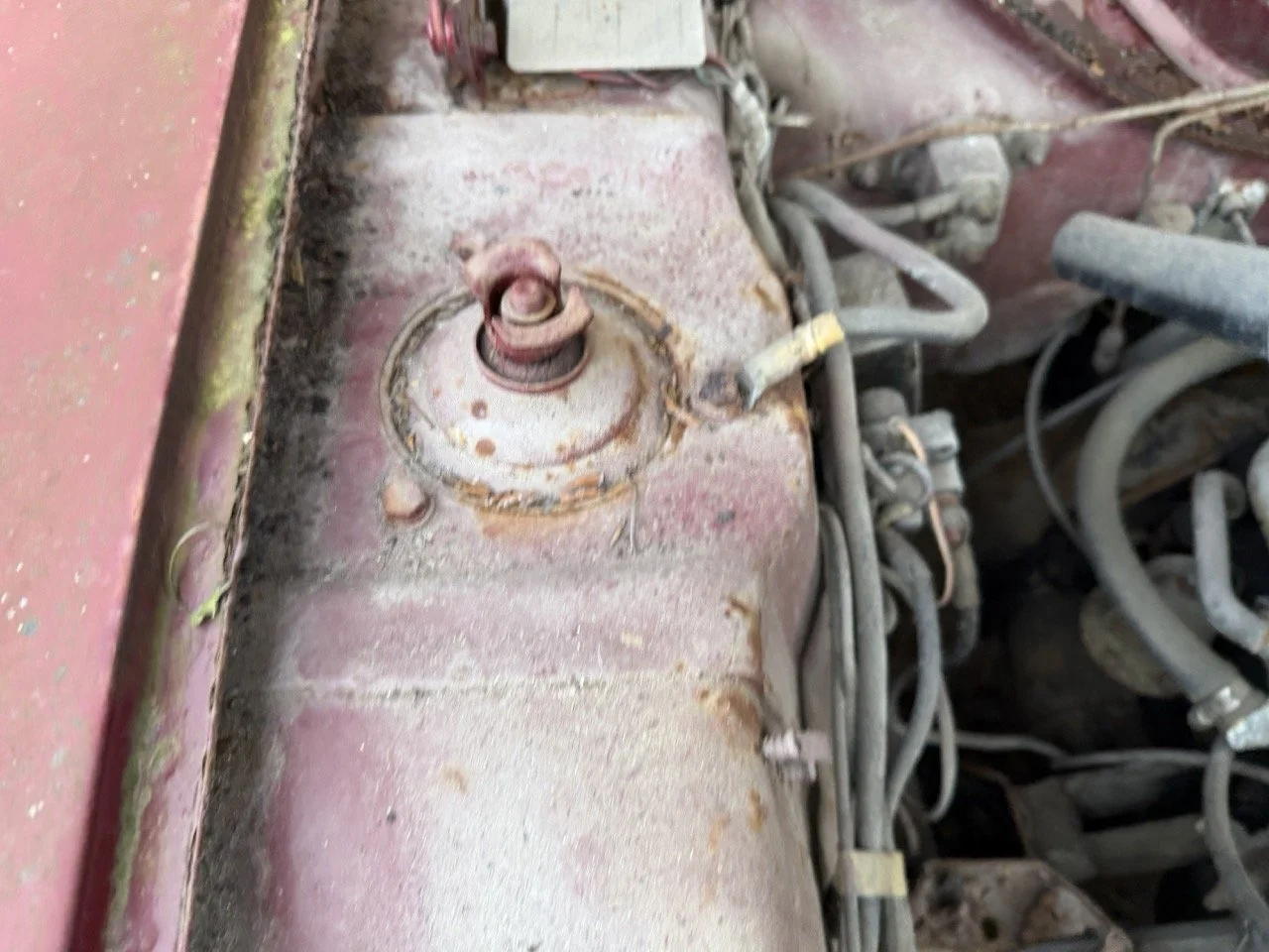 IMG_8961 – grande.jpeg