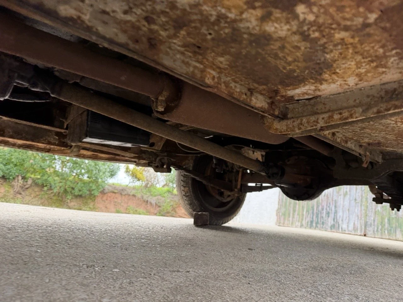 IMG_1664 – grande.jpeg