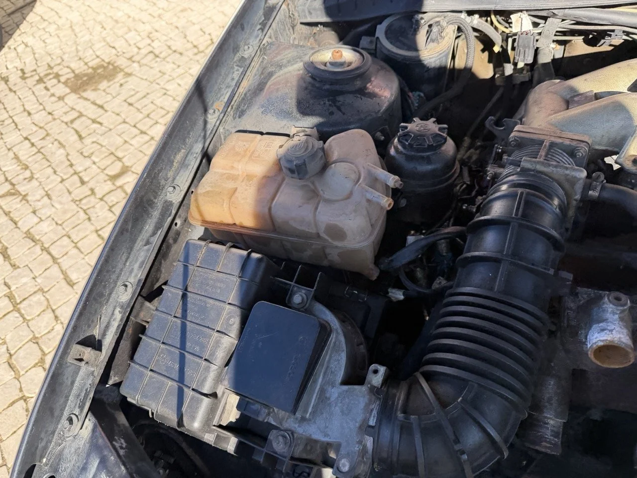 IMG_2759 – grande.jpeg