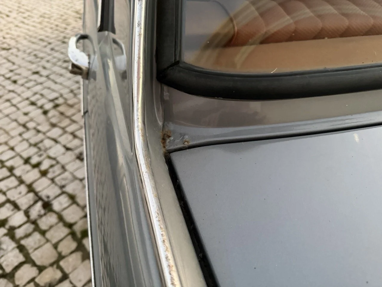 IMG_7529 – grande.jpeg