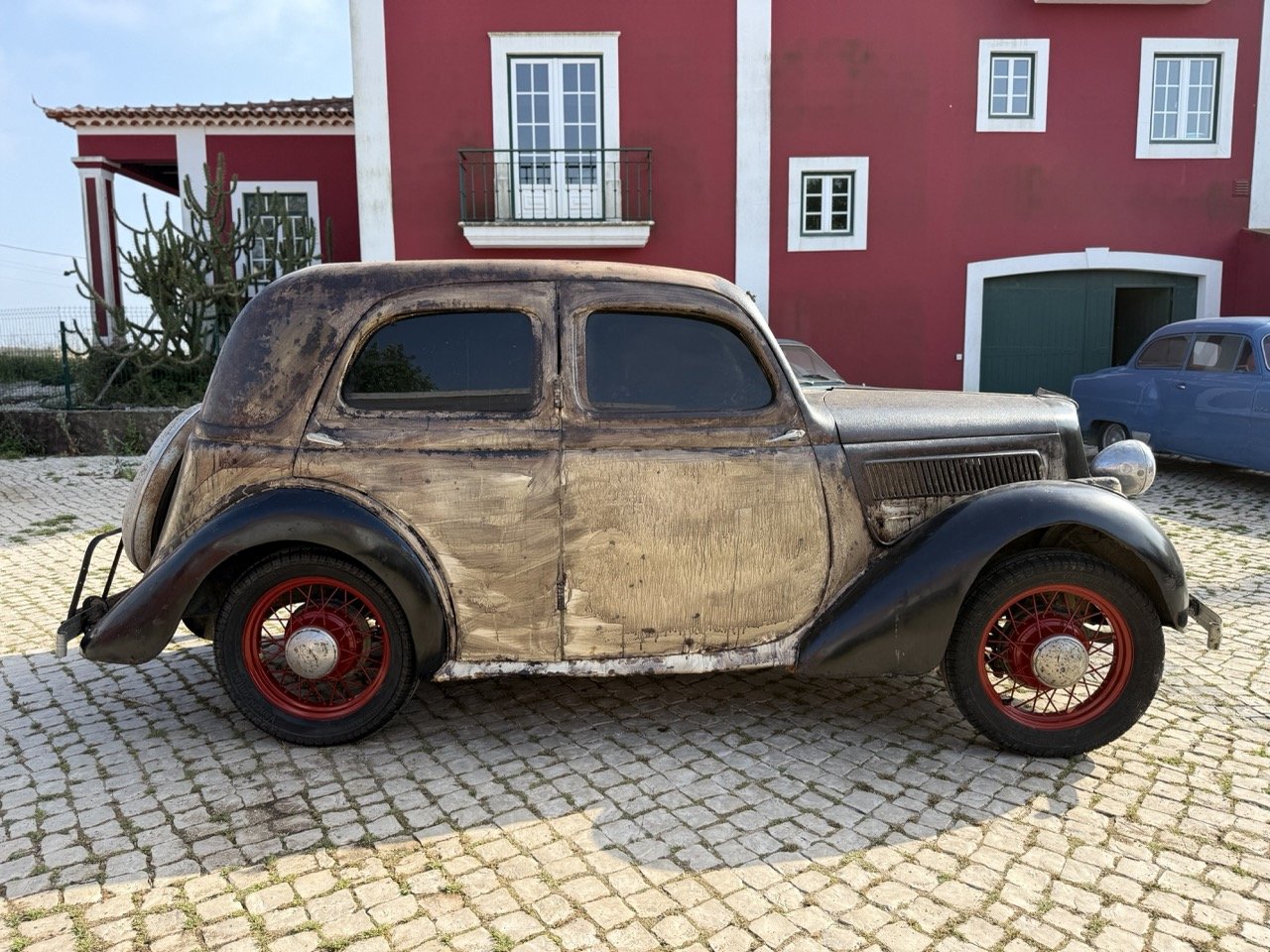 IMG_3680 – grande.jpeg