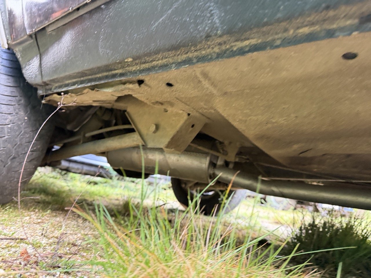 IMG_5264 – grande.jpeg