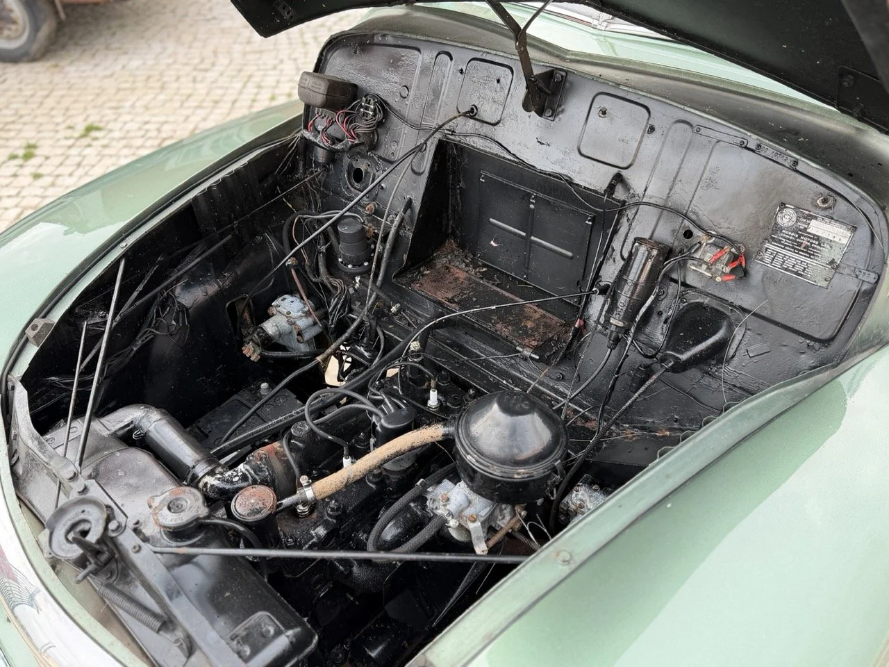 IMG_9834 – grande.jpeg