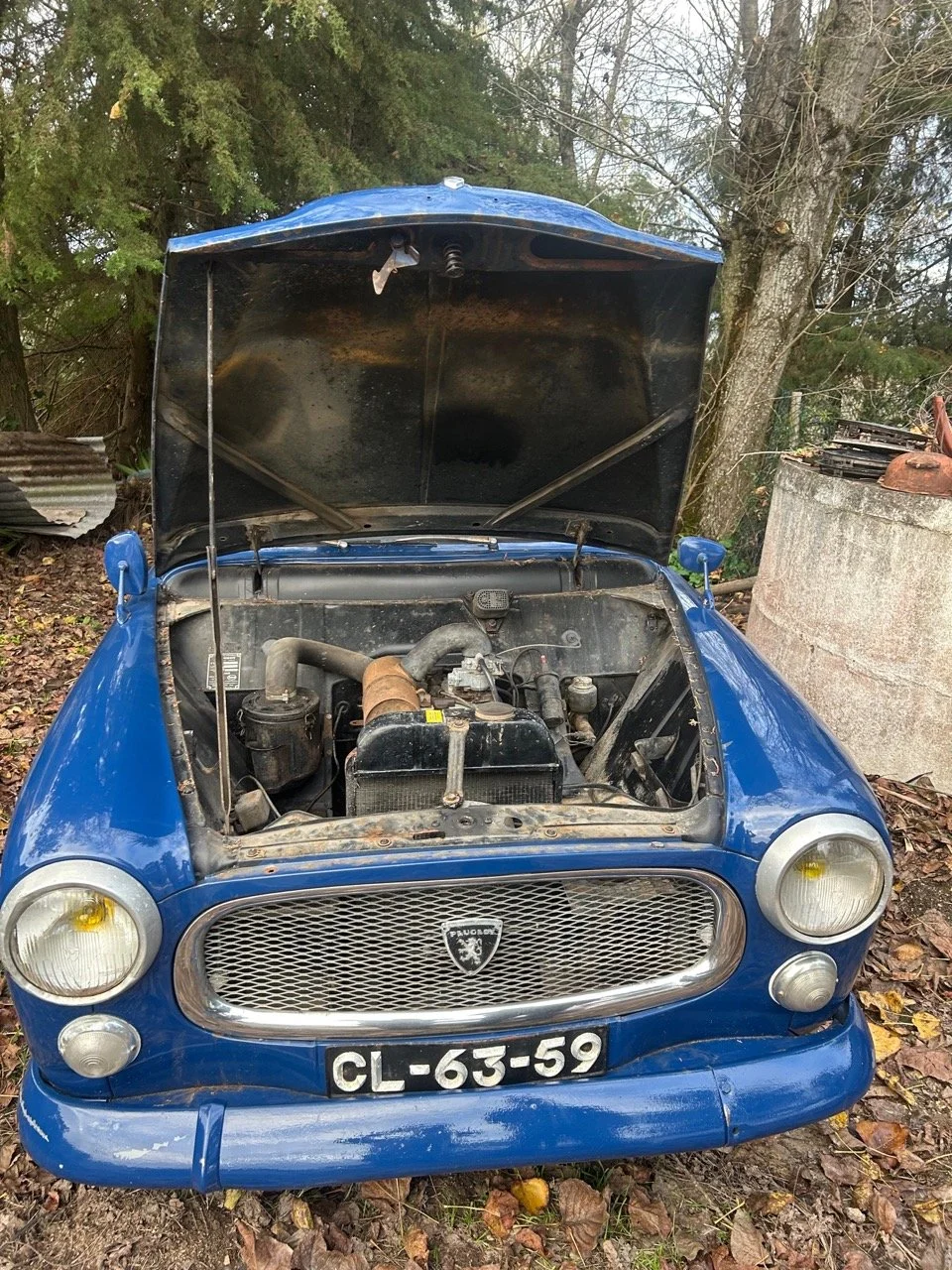 4c3a71f4-7323-4d0a-a196-8934e06c57bb – grande.jpeg