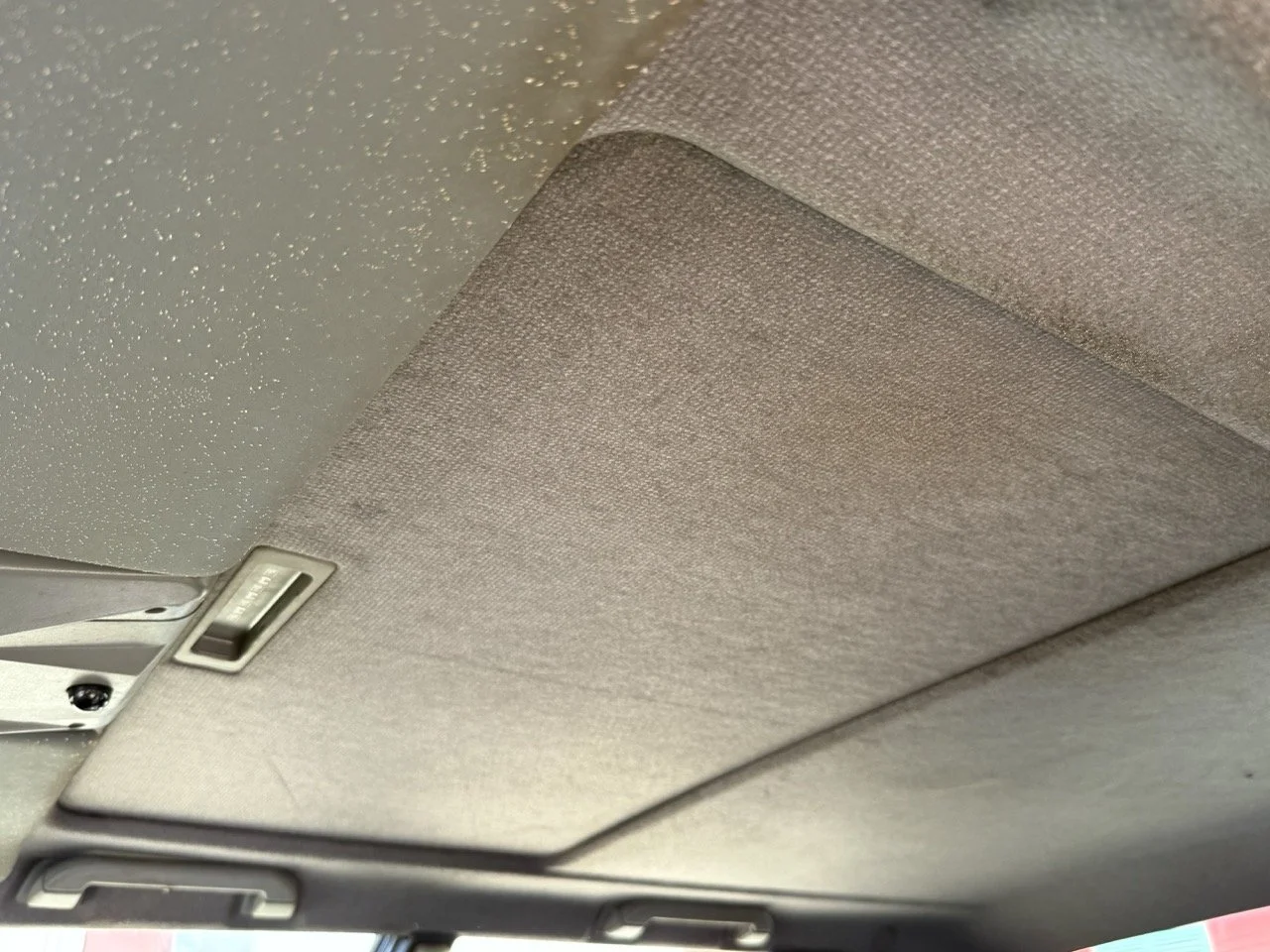 IMG_2614 – grande.jpeg