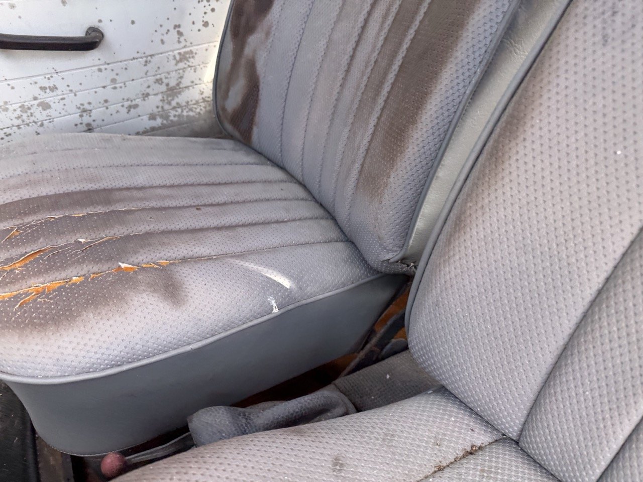 IMG_8600 – grande.jpeg