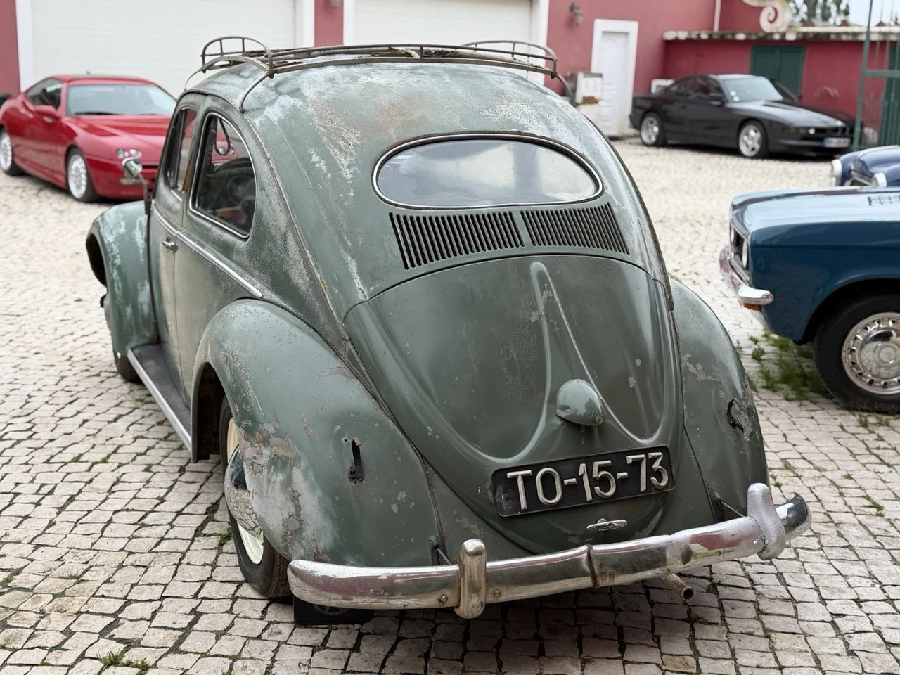 IMG_1103 – grande.jpeg