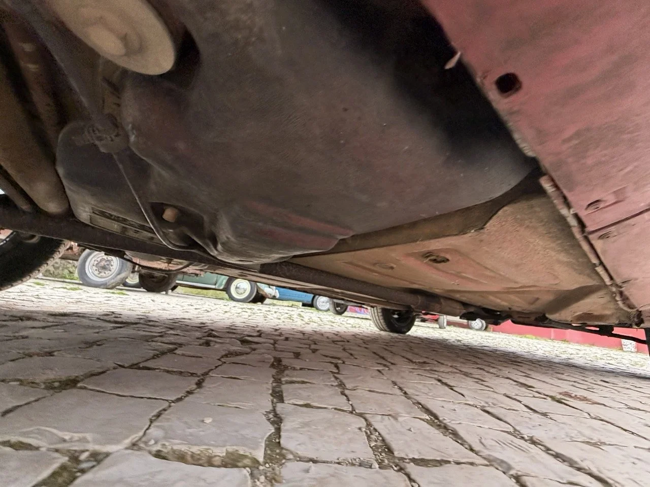 IMG_3657 – grande.jpeg